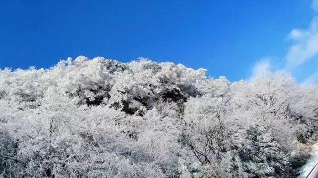 5个月，31场丢50球！奥纳纳非洲杯再成背景板，对手3射正被进3球